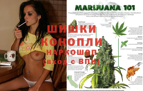 jwh Ельня