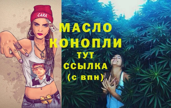 мет Елабуга