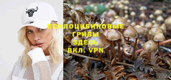 jwh Ельня