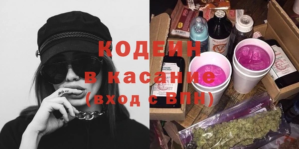 дурь Елизово